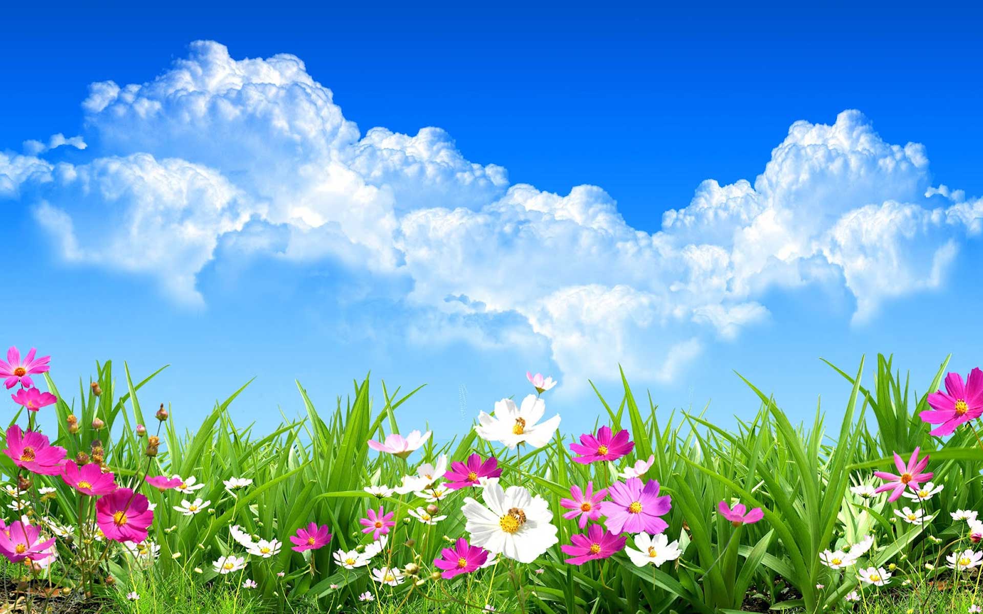 Images Of Spring Free Download